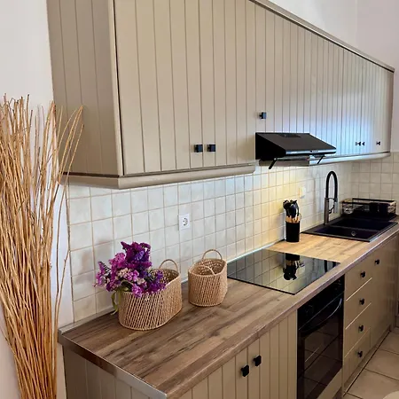 度假居 Infinity View Mykonos